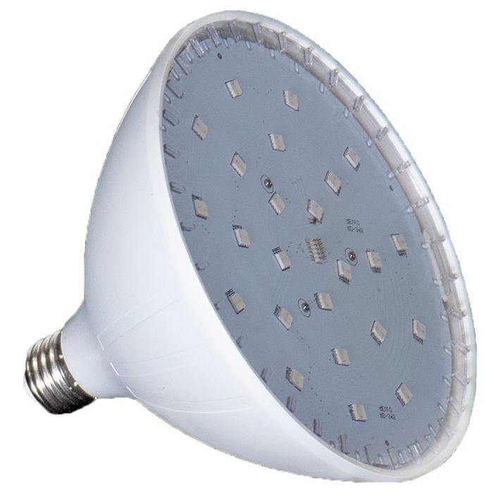 AMP 120V LED R56 5000K Pool Bulb