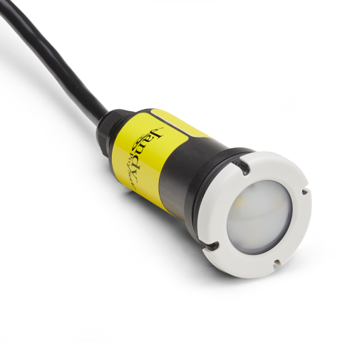 Jandy Nicheless Led Color Light 24w 100 Cord Jandy Nicheless Led Color Light 24w 100, How To Replace Jandy Nicheless Led Pool Light
